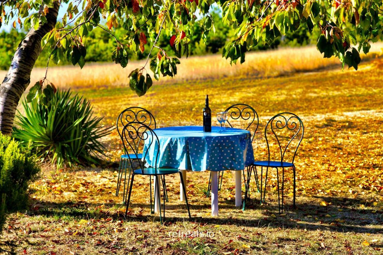 La Colle En Provence Main House Villa Sigonce Exterior photo